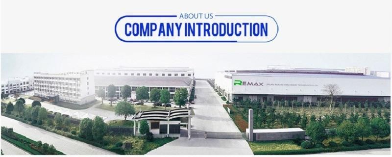 Remax 6060 CNC Router Metal Milling Machine