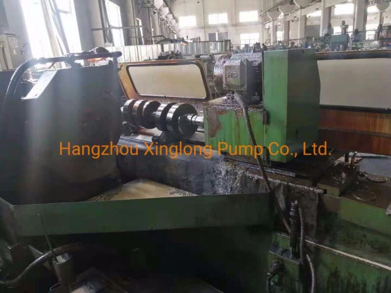 Rotor / Screw Set / Spindles of Twin Screw Pump