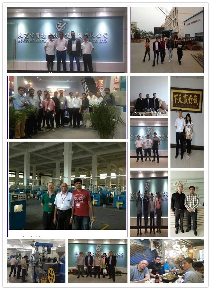 Aluminium Alloy Rod Breakdown Machine Al Wire Drawing Machine