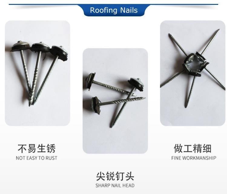 Famous Africa Twist Shank Steel Roofing Nail Making Machine Price