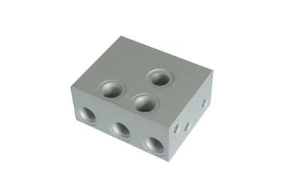 Manifold Block