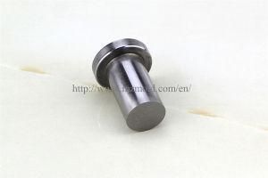 Precision High Quality Cavity Inserts