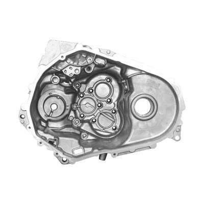 Custom Cast and Forged Molded Precision Aluminium Die Casting Housing Parts