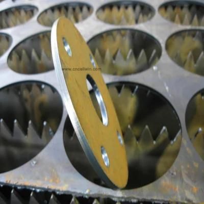Steel Iron Stainless Steel Aluminum CNC Plasma Cutter