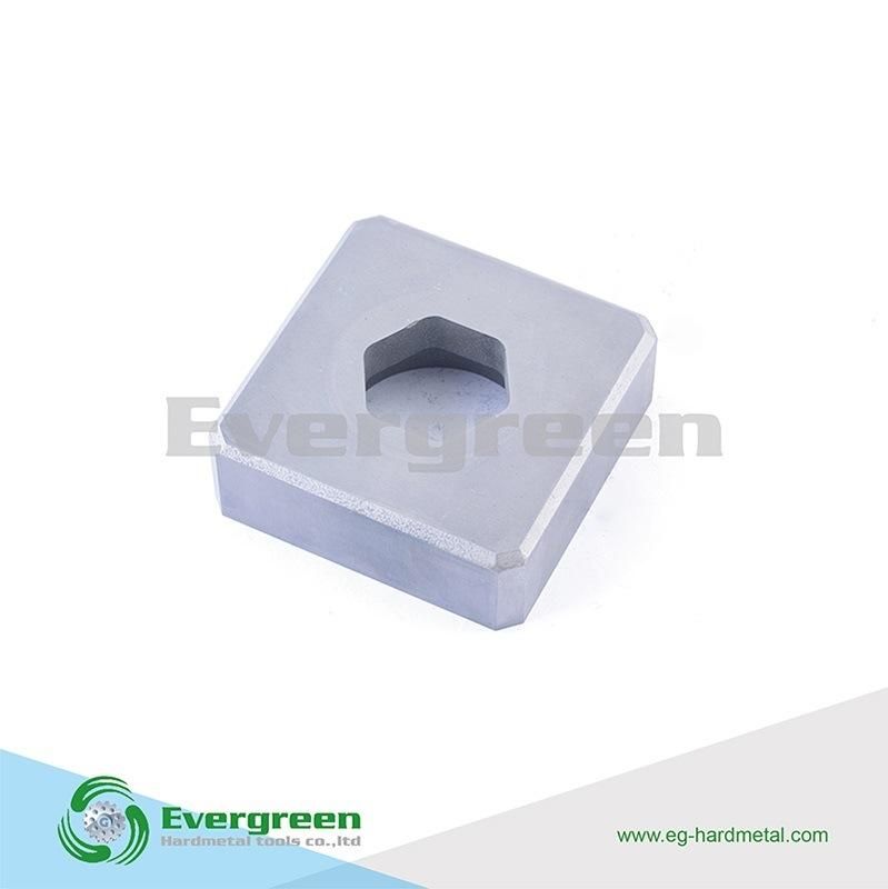 Special Shape with Good Quality Tungsten Carbide Molds