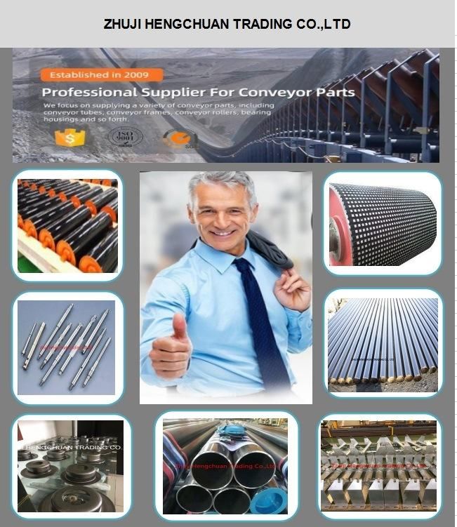 Idler Components Bearing Housing for Conveyor Roller with Good Quality
