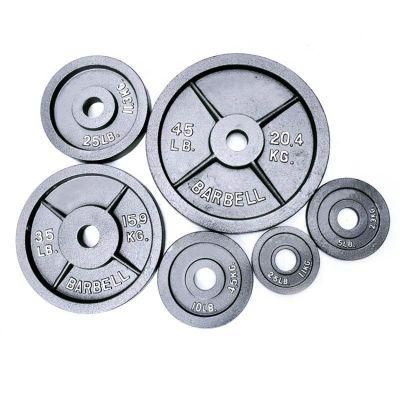 OEM Customized Home Fitness Fitness Gym Cast Iron Weight Plate