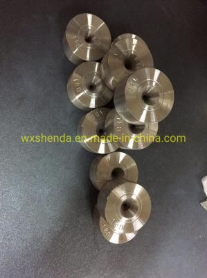 Tungstern Wire Drawing Die/PCD Wire Drawing Die