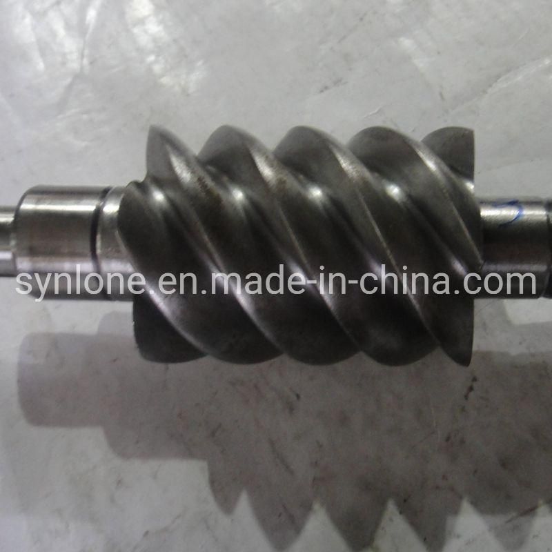 OEM Customized Stainless Steel Machining Screw for Machinery