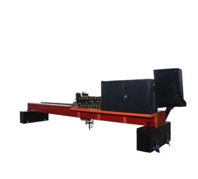 2040 Free Consumables CNC Plasma Cutting Machine China