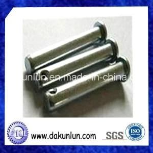 Precision Stainles Steel Dowel Pin