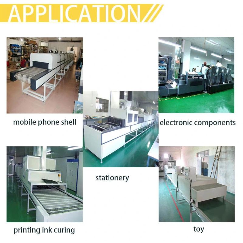China Customized UV Curing Machine for Printing Ink Curing