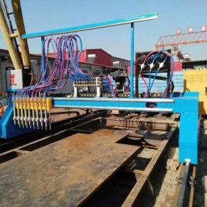 Flame Oxy-Fuel Gantry CNC Plasma Cutting Machine
