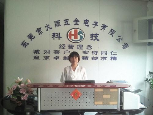 OEM Custom Sheet Metal Box with High Precision (HS-SM-0038)