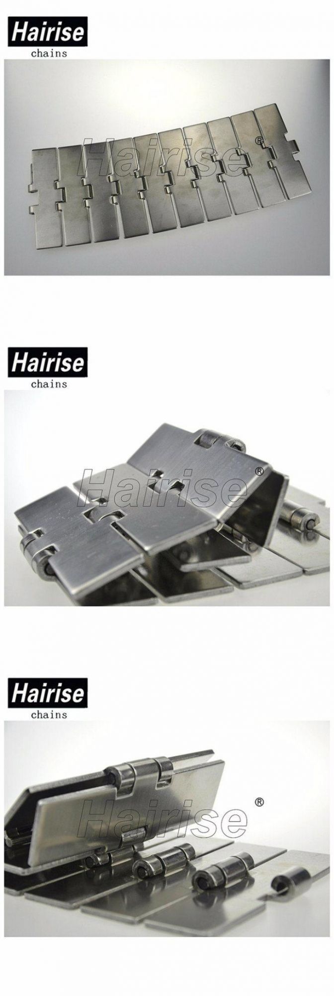 Hairise Conveyor System Machine Stainless Steel Chain Wtih FDA& Gsg Certificate