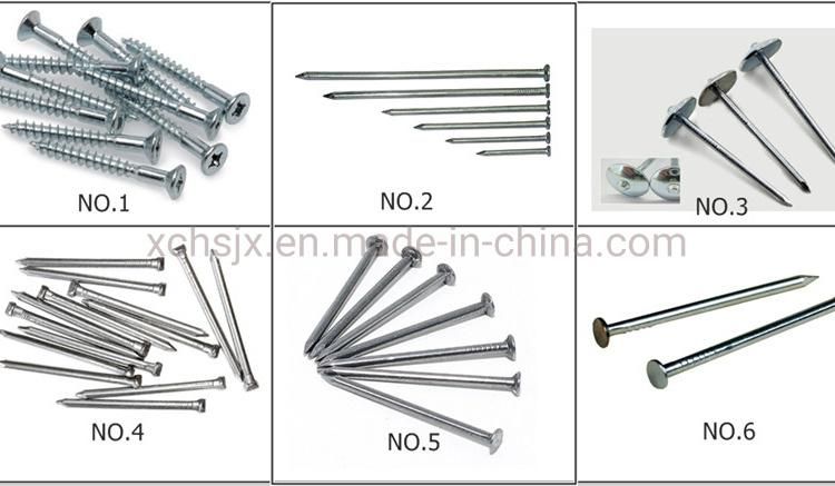 Low Carbon Steel Wire Twisted Nails Making Machines Equipment Production Line
