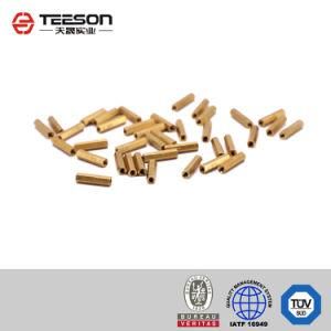 Tiansheng OEM Hexagonal M3 Copper Nut