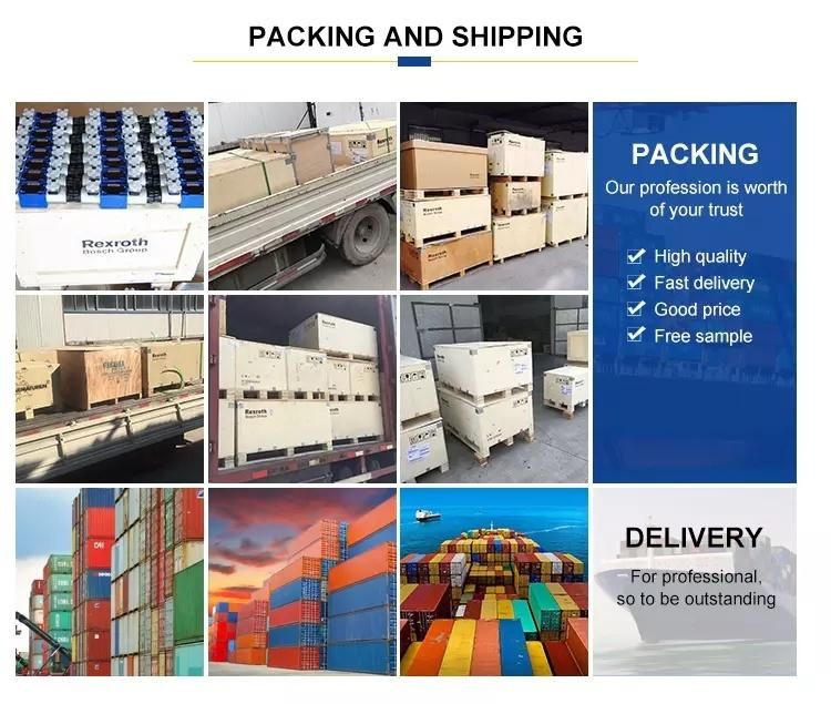 Hydraulic Spare Parts Charge Pump/Repair Seal Kit/Cylinder Block/Piston/Valve Plate/Swash Plate/Drive Shaft/Bearing for Rexroth A2f/A4V/A6V/A7V/A10V/A11V