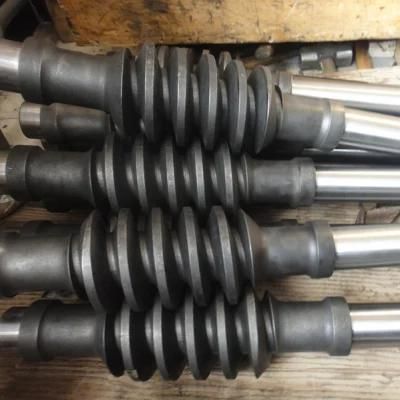 Custom Steel Worm Shaft for Auto Parts