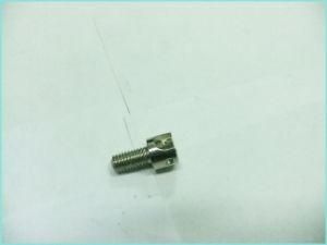 Screw Like Spare Part with Precised Turning Machining