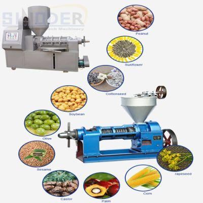 Cocoa Oil Press Machine Coconut Oil Cold Press