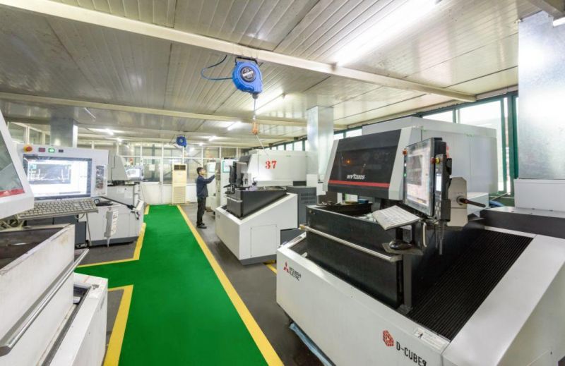 Made in China H13 Steel Loose/Fixed Type Extrusion RAM