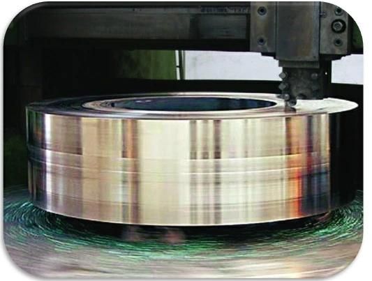 Acicular Nodular Iron (SGA) Rings for Kocks Mill