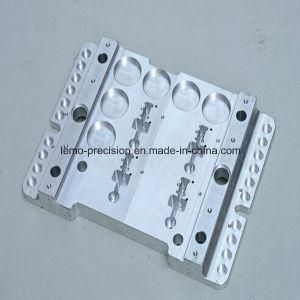 CNC Machine Metal Parts of Cavity (LM-580)