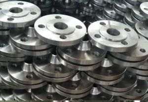 OEM Customized Stainless Steel 304 Forged Flanges