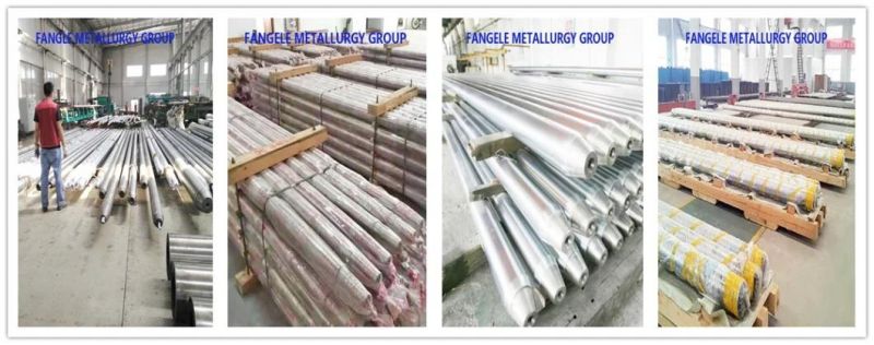 Mandrel Used for The Continuous Mandrel Rolling Process and The Push Bench Process
