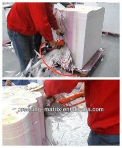 Waste Paper Stripping Machine