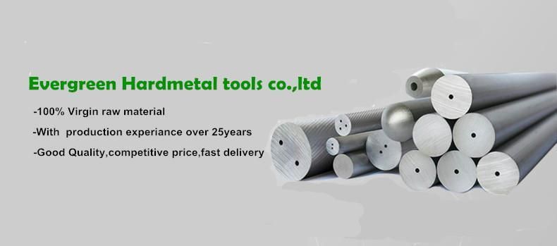 Factory Supply Cemented Carbide Rods with Two Straight Holes Blank
