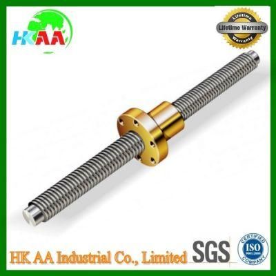 Trapezoidal Stainless Steel 304 Power Screw