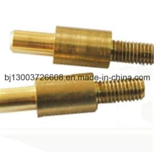 OEM/Oed Precison CNC Machining Brass Hollow Screw