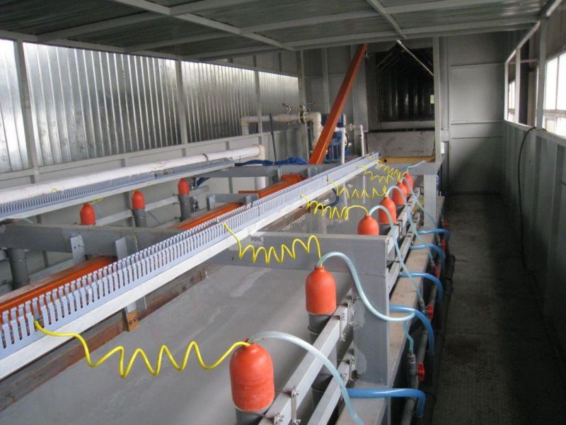 Electrophoretic Painting Line for Motor Tricycle