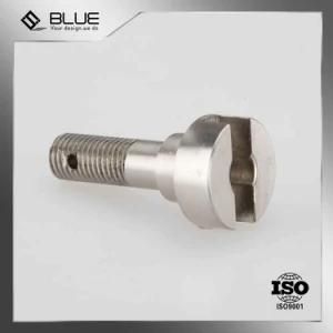 Small CNC Turning Part by Lathe