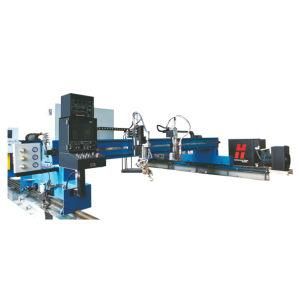 Plasma Cutter P70220