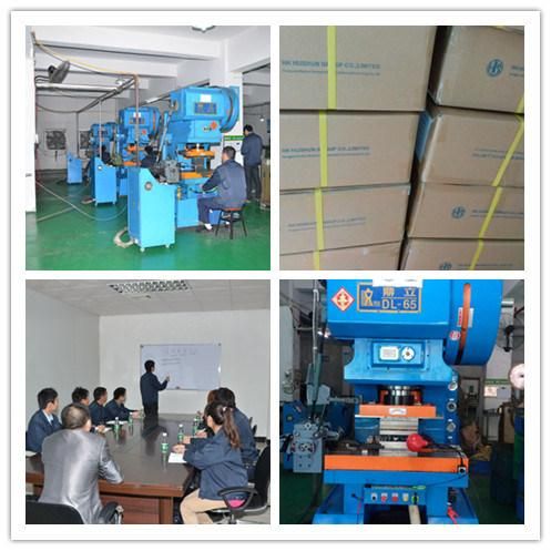 CNC Lathe Turning Parts Made in China (HS-TP-0016)