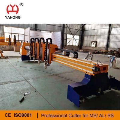 Multi-Heads Gas Cutting Machine with Auto Nesting Software