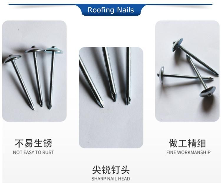 Famous Africa Twist Shank Steel Roofing Nail Making Machine Price