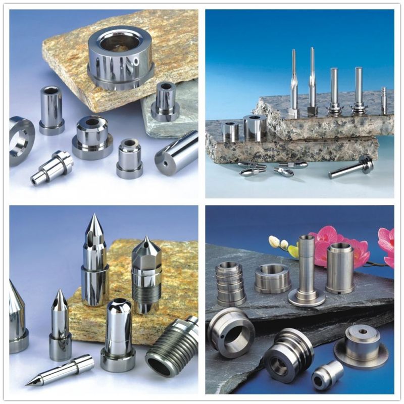 China Manufacturer of Bushing and Sleeves Mold Dies Case with Shoulder Mold Compoents Parts