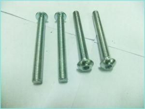 Long Ss Screw with Thread and Cross Cap