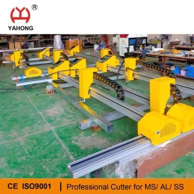 Small Gantry CNC Plasma Cutting Painted Metal Machine with Plasma Power Source