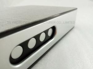 CNC Machining Fabric Coating/Silver Painting Auto Parts