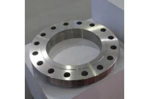 Joint Pipe Forged Flange for Marine Machine