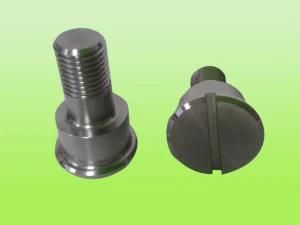 as Per Drawing OEM Stainless 304 Made Tracking Roller Screw