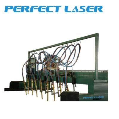 Automatic Straight Gantry Type Plasma CNC Cutting Machine for Stainless Steel