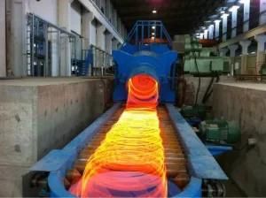 Pinch Roll &amp; Laying Head for Ordinary Wire Rod Production Line