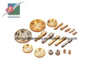 Professional Customed Brass Machining Part (ZH-MP-002)