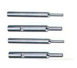Customed Plastic Mould Punch for Auto Parts